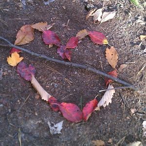 Meet your Posher, Rhonda